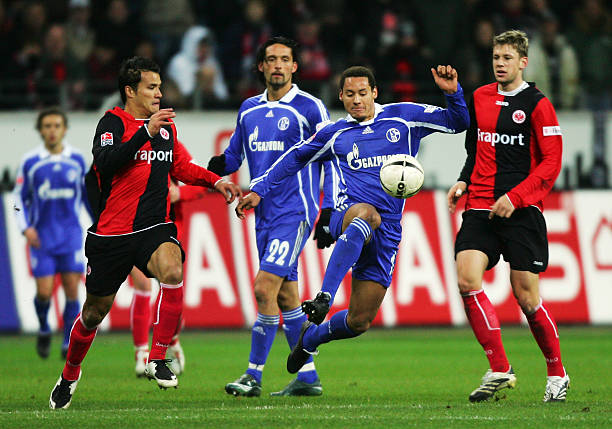 极评估阵容 极评估阵容